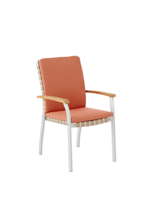 Cushion for United States Armchair Maple