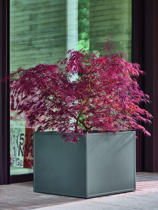 Antony Pflanzkübel 65 x 65 x 52