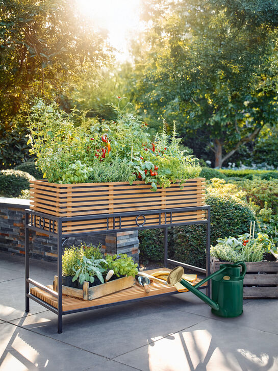 Bretagne Hochbeet für Balkon/Terrasse