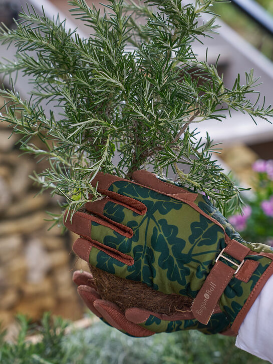 Telford Gartenhandschuhe Damen S/M