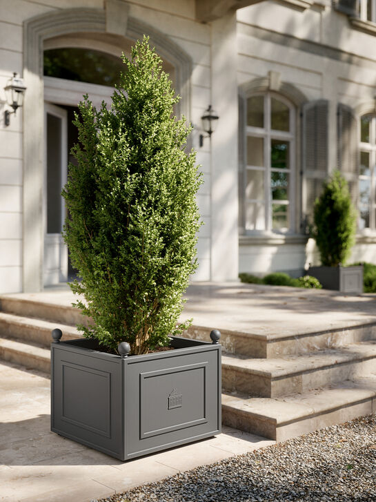 Grenoble Pflanzkübel Petit 60 x 60