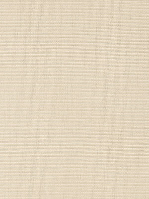 Back Cushion for Savannah 45 x 35 Dune