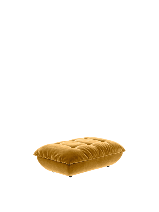 Sandvig Hocker Bernstein