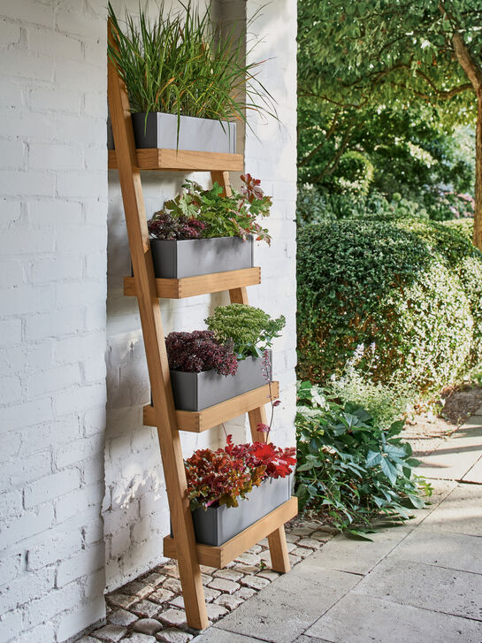 Normandie Pflanzleiter Graphit