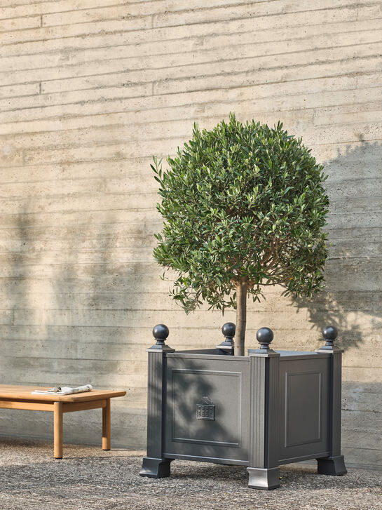 Grenoble Pflanzkübel 65 x 65