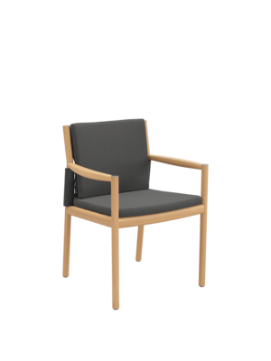 Coussin Cavo Chaise à accoudoirs Anthracite